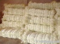 sisal fiber