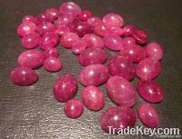 290 Carat (lot)- Quality Red Ruby Cabochons, Semi Transparent