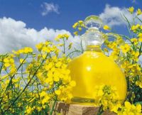 Rapeseed Oil