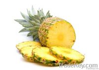 Fresh Pineapples