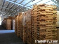 Timber Saw (Rubber Wood)