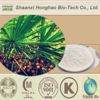 Natural Bulk Saw Palmetto Dry Extract 45%