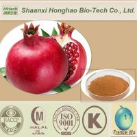 Natural Bulk Pomegranate Dry Extract Ellagic Acid 40%-90%