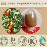 High quality new lower price for goji berry extract