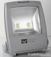 LED Floodlight