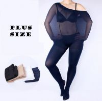 Fashion Hot Sale American And European Style Sexy Plus Size Undergarments New Arrival Swimwears Female Swimsuits Simple Slim Clear Legging