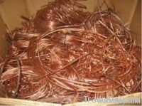 https://fr.tradekey.com/product_view/Millberry-Copper-Scrap-Copper-Scraps-Suppliers-Copper-Scrap-Exporters-Copper-Scrap-Manufacturers-Cheap-Copper-Scrap-Wholesale-Copper-Scraps-Discounted-Copper-Scrap-Bulk-Copper-Scraps-Copper-Scrap-Buyer-Import-Copper-Scrap-Copper-Scrap-4014921.html