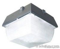 LED Canopy Light