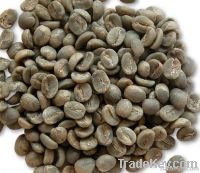 ROBUSTA COFFEE