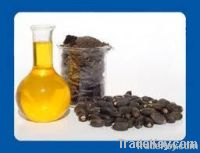 Jatropha Oil