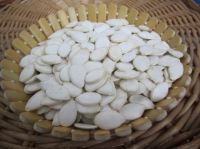 Good Quality Snow White Pumpkin Seed In Shell 