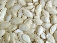 Dried Snow White Pumpkin Seeds with Top Quality 