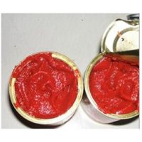 Wholesale easy open tomato paste canned tomato paste tinned,High quality canned