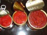 canned tomato paste supplier