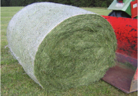 Super Top Quality Alfafa Hay for Animal Feeding Stuff Alfalfa / Timothy / Alfalfa Hay for Sale***.. 