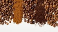 grade Wholesaler Arabica Roasted coffee beans at low prices 