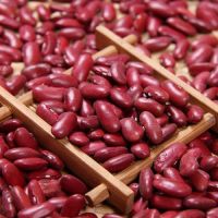 Wholesale Dried Dark Red Kidney Bean for Canned Food 