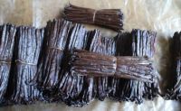 Organic Cultivated Gourmet vanilla beans from Madagascar, Bourbon vanilla,Black Vanilla Bean Farm Price 