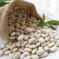 HALAL/ HACCP/ KOSHER White Kidney Bean In 180-200 