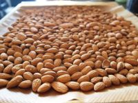 Whole Almonds Nut Nuts Almond Raw Natural Bulk Best Quality 500g 1kg 2kg 5kg QUALITY ALMOND NUTS 
