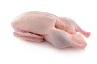 Frozen Halal Chicken Leg Meat for Exporting 