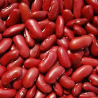 Organic Non-GMO Dark Red Kidney Beans canned beans 