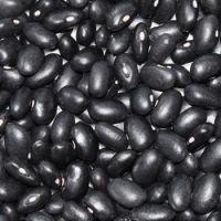 High Quality Black Kidney Bean With HPS Size 500-550 pcs for 100g Black Bean 