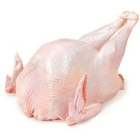 FROZEN WHOLE TURKEY (HALAL) Frozen Full Turkey 