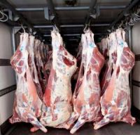 Frozen Halal Goat Meat, Lamb Meat, Sheep Meat, Beef 