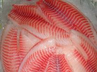 Frozen Organic Tilapia Fish Fillet Products With Types Specifications 