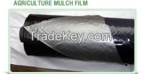 https://fr.tradekey.com/product_view/Agri-Mulch-Film-Sheet-7876201.html