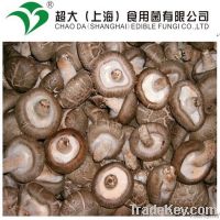 fresh shiitake mu...