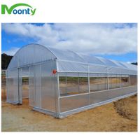 Economical Single Tunnel Greenhouse