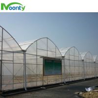 Multi-span Plastic Film Agricultural Greenhouse