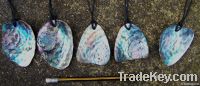 Polished Paua Shell Pendants