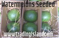 MELONS&WATERMELONS WWW.TRADINGISLAND.COM