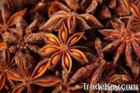 Star aniseed grade A (Autumn Crop 2012)