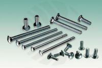 Oval head square neck bolts