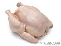 Halal Frozen Whole Chicken