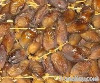 Deglet Nour dates