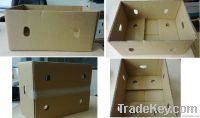 https://www.tradekey.com/product_view/10kg-Orange-Carton-Bottom-Only-4964483.html