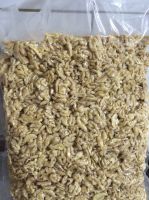 Raw and Processed Cashew Nuts - Walnuts Kernelsfor sale