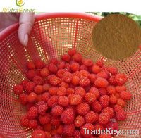 Red Raspberry Extract Raspberry Ketone