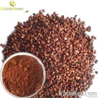 Grape seed Extract