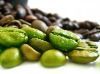 Green Coffee Bean Extract Chlorogenic Acids 50%