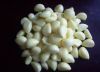 Allicin 0.2%-3% Deodorized Garlic Powder Extract
