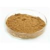 Icariin(s) 5%~98% Horny Goat Weed Powder Extract (Epimedium brevicornu Maxim.)