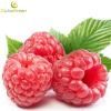 98% Raspberry Ketone slimming