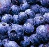 Freezen Dried Blueberry Juice Powder