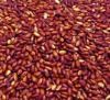 Monacolin K 0.4% HPLC Red yeast rice Powder